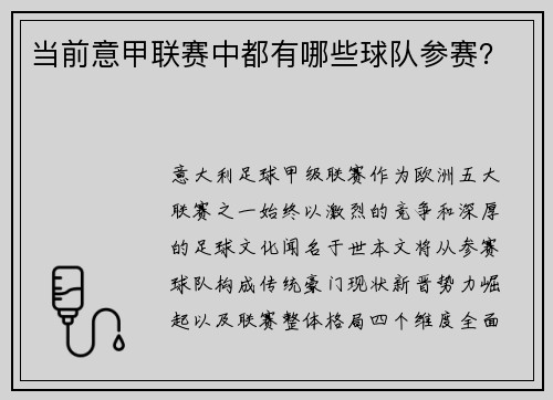 当前意甲联赛中都有哪些球队参赛？