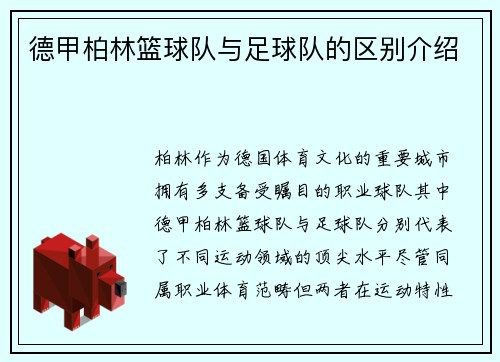 德甲柏林篮球队与足球队的区别介绍